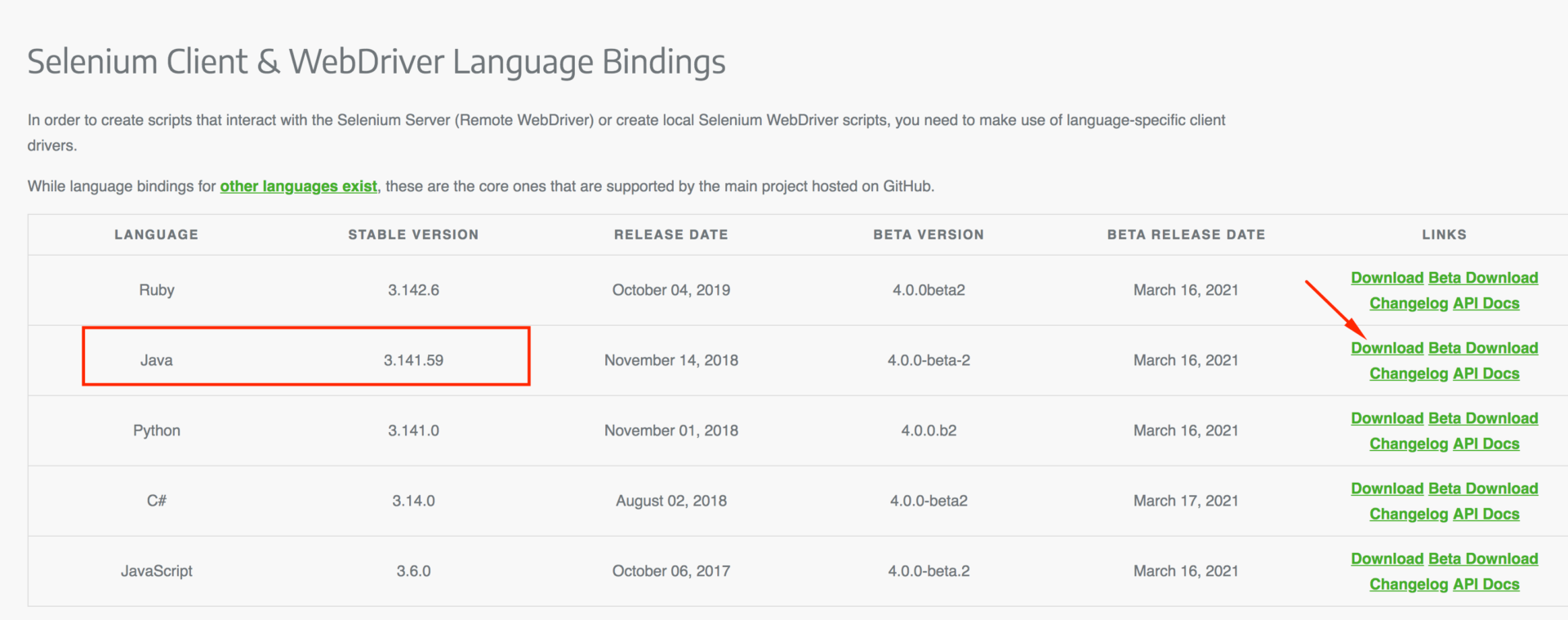 Setup Selenium with Java on Visual Studio Code - Funnel Garden