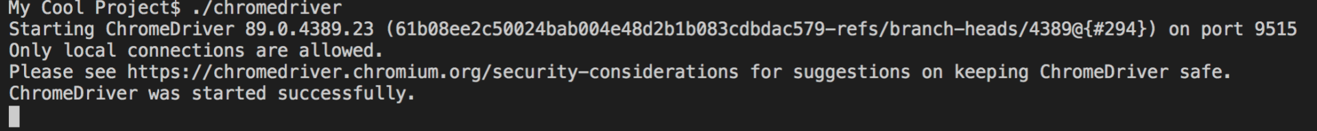 Setup Selenium with Java on Visual Studio Code - Funnel Garden